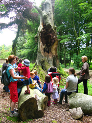 Outdoor nature classes for families and schools by Mud Pies
