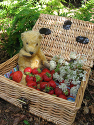 Outdoor nature classes for families and schools by Mud Pies