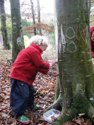 Drawing on trees with chalk