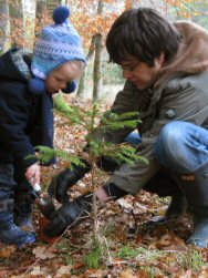 planting hazel trees with Dad